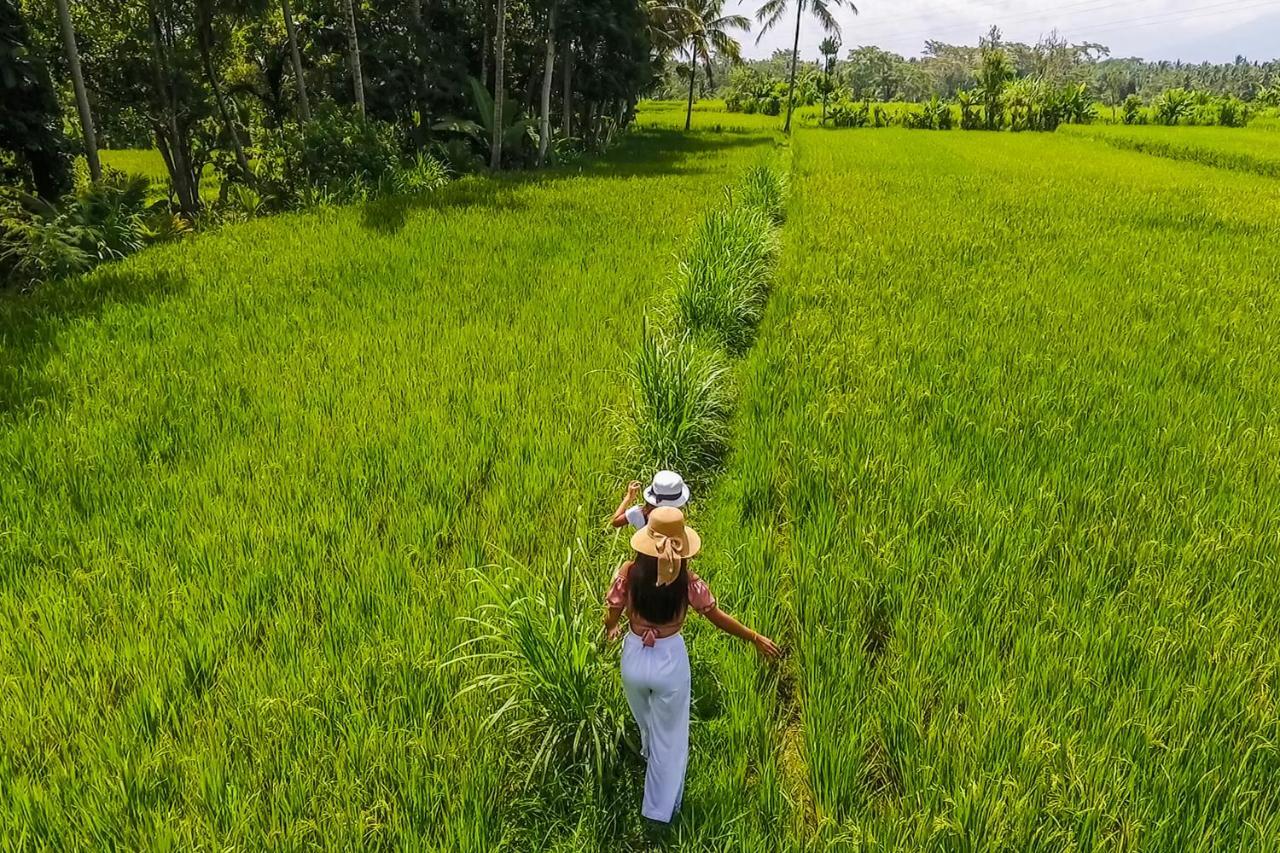 Puri Lumbung Village بيانغان المظهر الخارجي الصورة